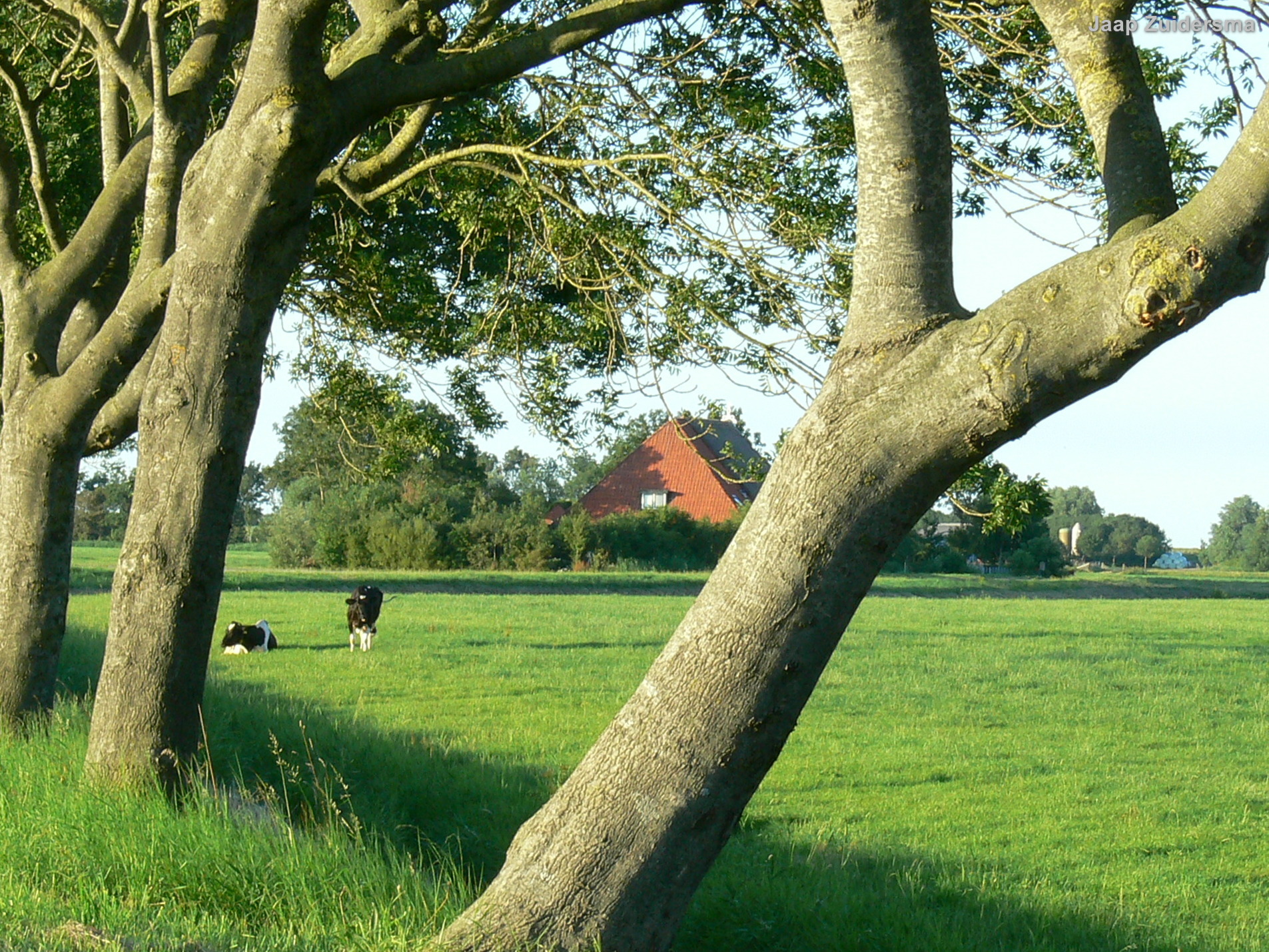 Update versoepelingen GLB 2024 en volgende jaren