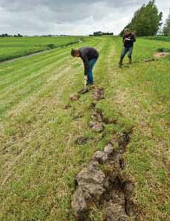Regen van de afgelopen dagen is nog niet dé oplossing voor de droogte van afgelopen maanden