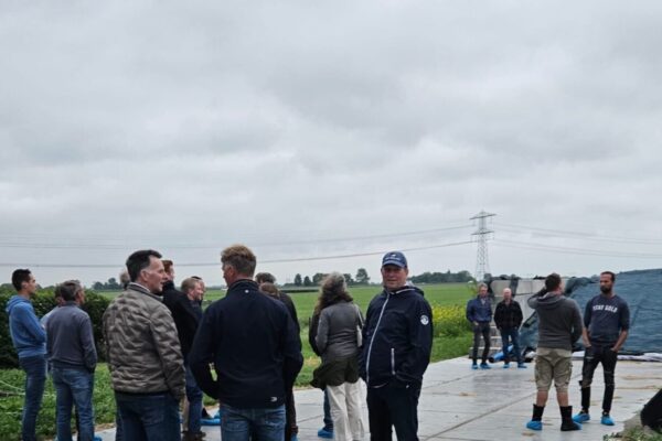 Afbeelding van WhatsApp op 2025-06-27 om 12.53.37_5233eee8 Afbeelding van WhatsApp op 2025-06-27 om 12.53.37_5233eee8