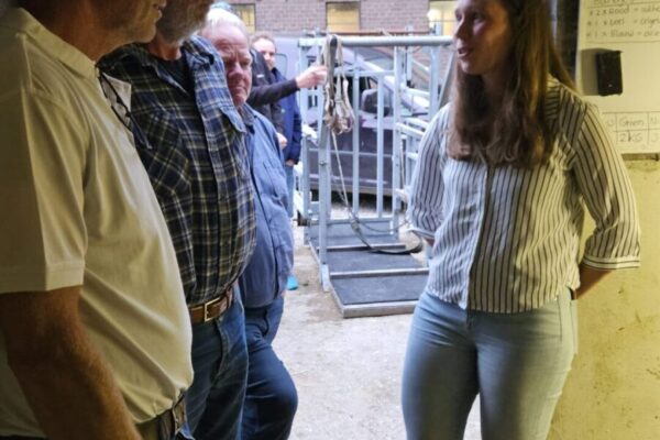 Afbeelding van WhatsApp op 2025-06-27 om 12.53.53_6f6f0034 Afbeelding van WhatsApp op 2025-06-27 om 12.53.53_6f6f0034