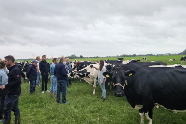 Afbeelding van WhatsApp op 2025-06-27 om 12.55.16_c7d68e1d Afbeelding van WhatsApp op 2025-06-27 om 12.55.16_c7d68e1d