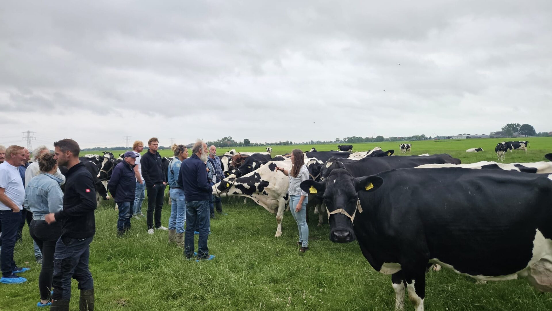 Mooie 1e excursiebijeenkomst Kruidenrijk grasland in Wytgaard