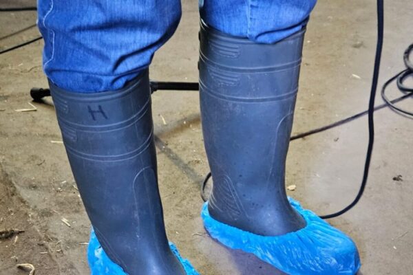 Afbeelding van WhatsApp op 2025-06-27 om 12.59.46_05660900 Afbeelding van WhatsApp op 2025-06-27 om 12.59.46_05660900