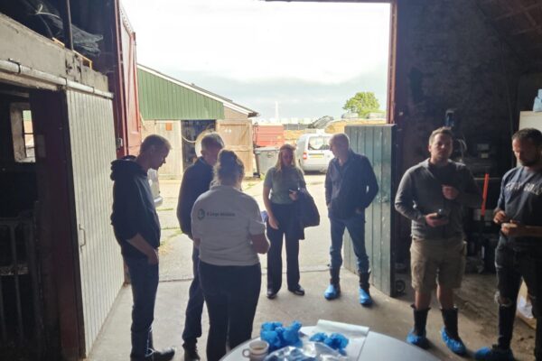 Afbeelding van WhatsApp op 2025-06-27 om 13.00.41_fae4a292 Afbeelding van WhatsApp op 2025-06-27 om 13.00.41_fae4a292