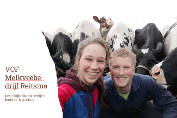 Schermafbeelding 2025-06-27 153550 Schermafbeelding 2025-06-27 153550