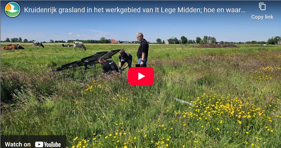Vers van de pers: film over kruidenrijk grasland