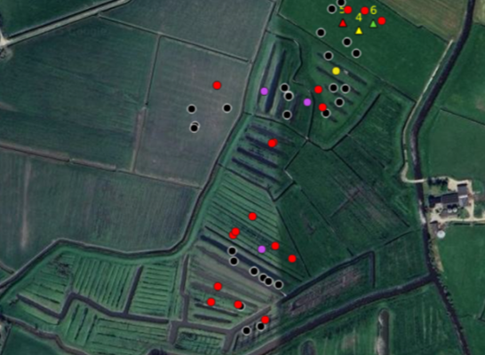 Weidevogels 1 Weidevogels 1