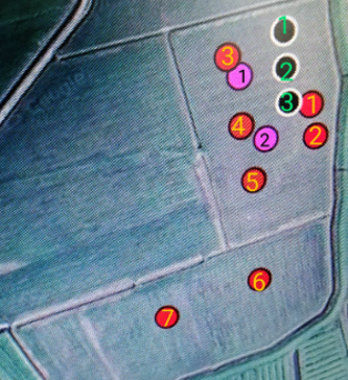 Weidevogels 2 Weidevogels 2