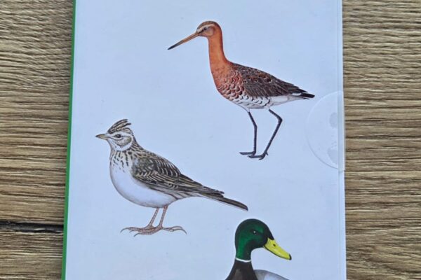 Minigids weidevogels