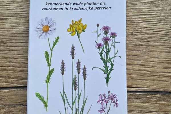 Minigids wilde planten