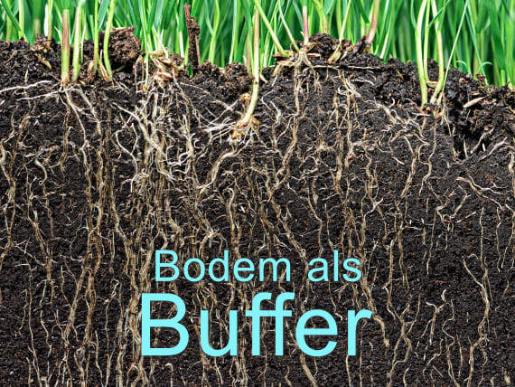 Hoe krijg je de bufferende werking van de bodem weer terug?