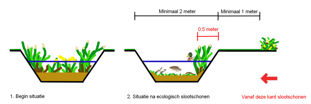 Waterschapsschouw en ecologisch slootschonen.