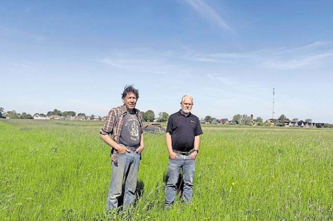 Maaien, maaien en minder bemesten. Kruidenrijk grasland centraal in artikel Friesch Dagblad